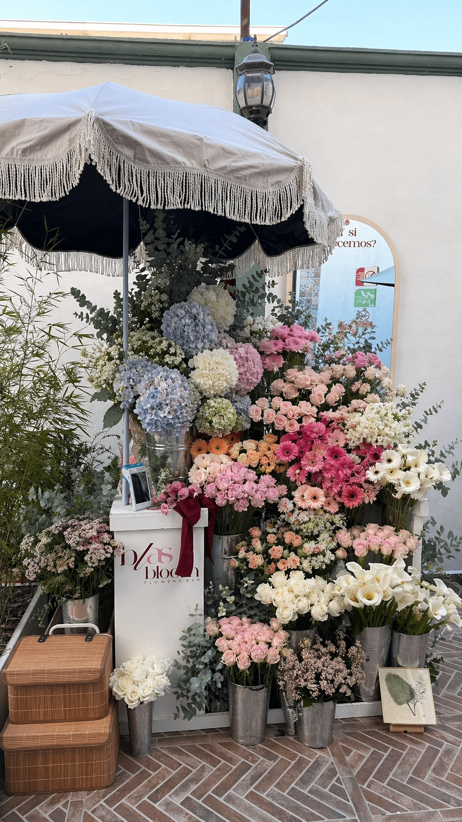 Blas Bloom Flowers Bar